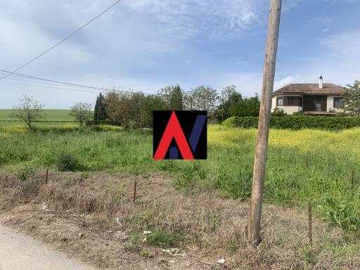 ALK02169
