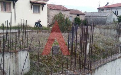 ΤΣΠ51823