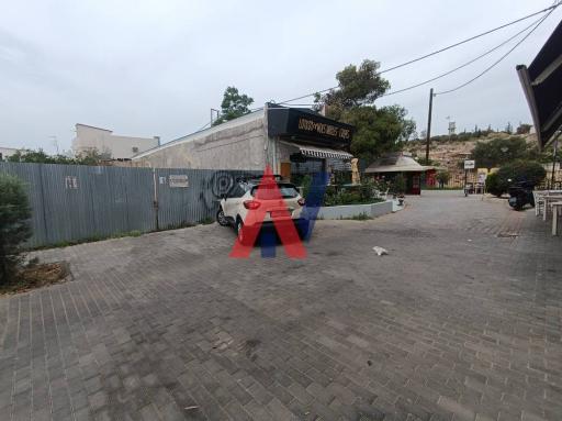 GLL04067