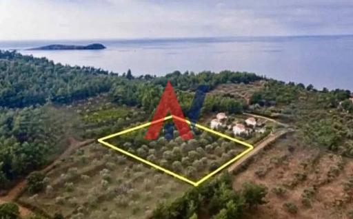 ΠΑΝ84515
