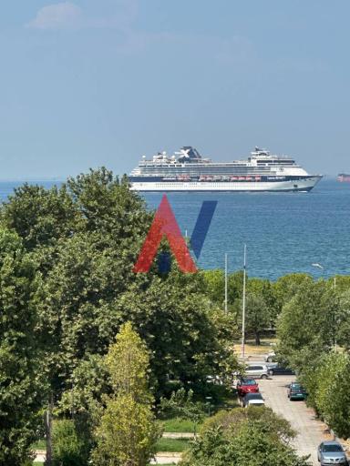 ΝΔΜ81182
