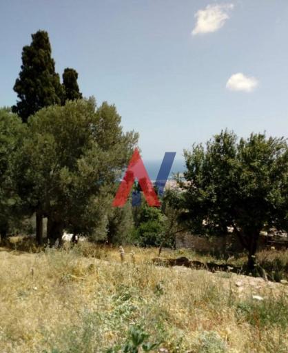 ΜΡΝ83635