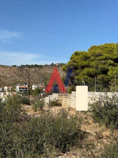 ΜΡΝ82459