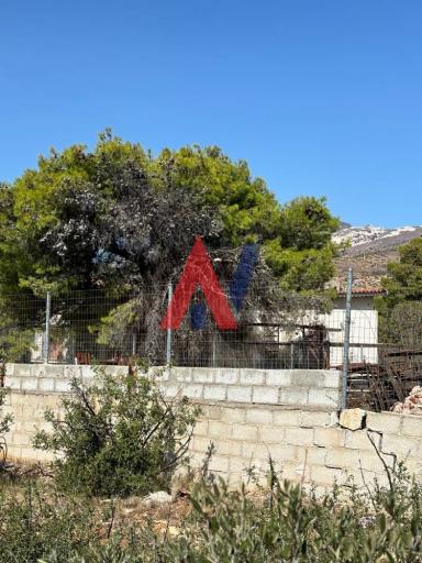 ΜΡΝ82247