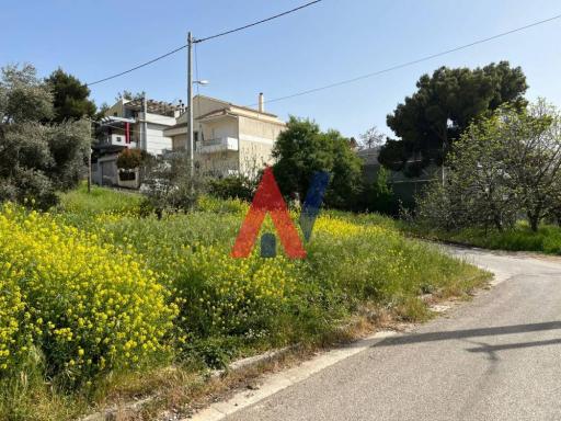 ΜΟΚ61834