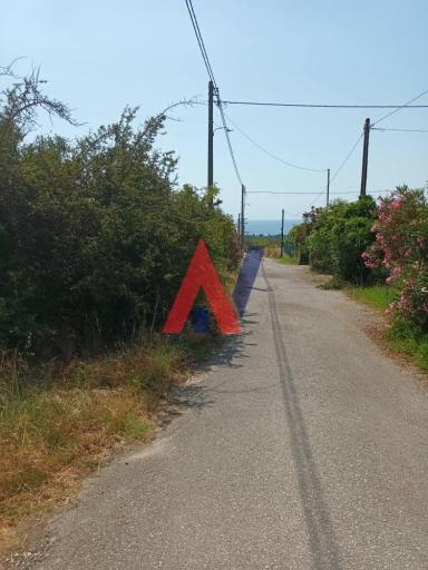 ΜΕΚ80833