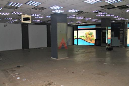 ΜΓΠ65976