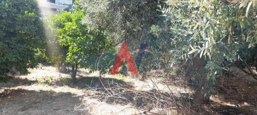 ΚΣΤ63115