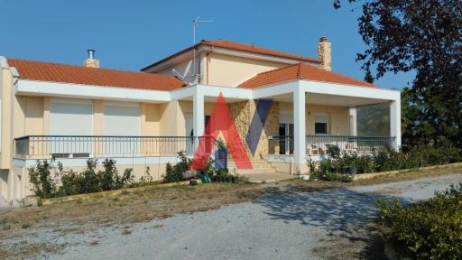 ZΕR04386