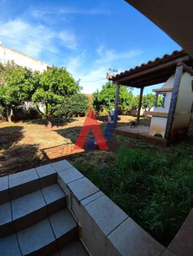 ΘΕΕ79513