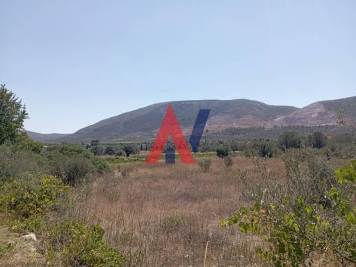 ΔΑΙ75892