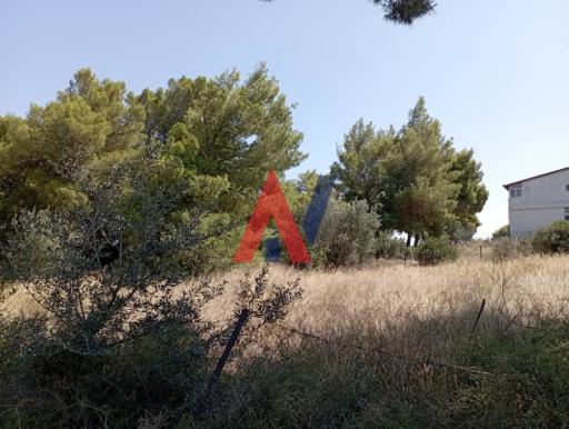 ΔΑΙ75891