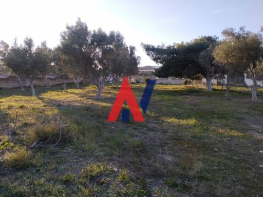 ΔΑΙ75767