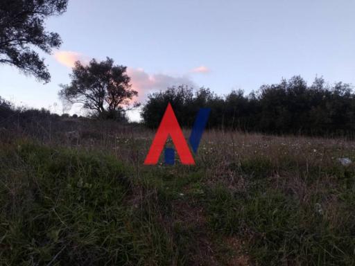 ΔΑΙ75765