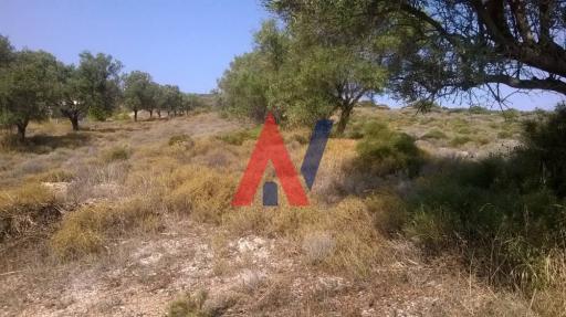 ΔΑΙ40898