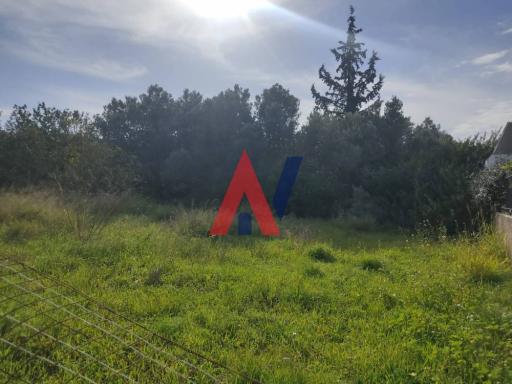 ΔΑΙ35894