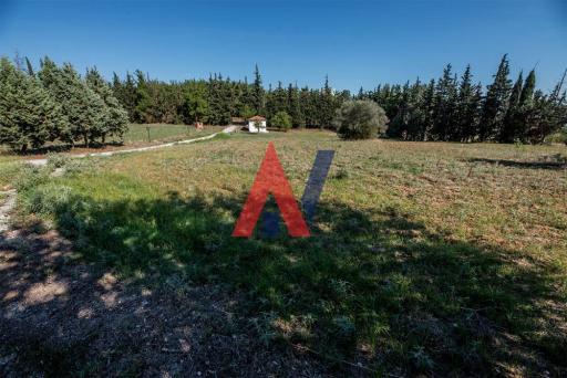 ΑΝΚ82113