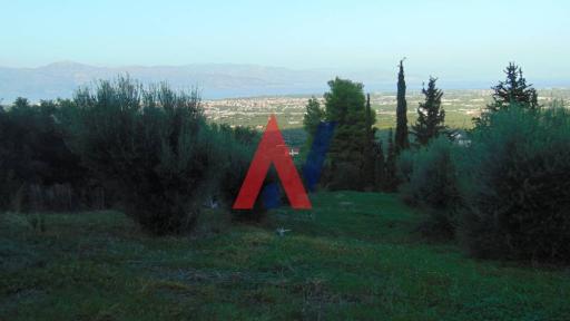 ΑΓΕ76847