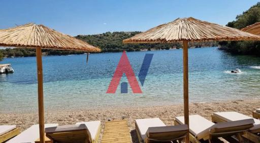 DLX81941