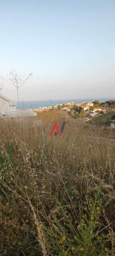 ΔΚΟ01858