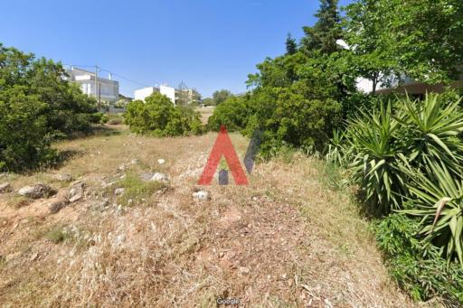 ΜΟΚ01828