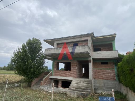 VRN01757