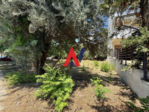 ΜΟΚ01425