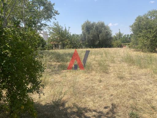 ΔΚΟ01822