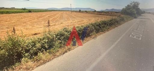ALK01263