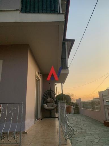 ALK01218