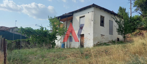 GRΗ00294