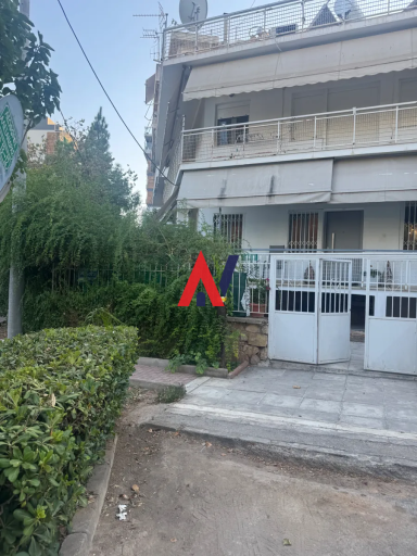 PEG01181