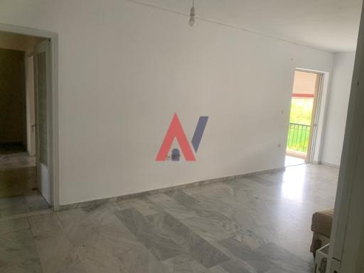 ALK01021