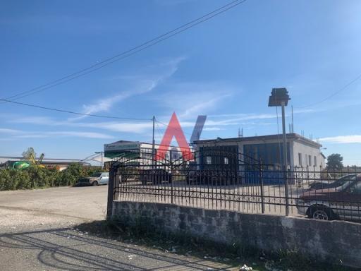 ALK00982