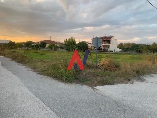 ALK00933