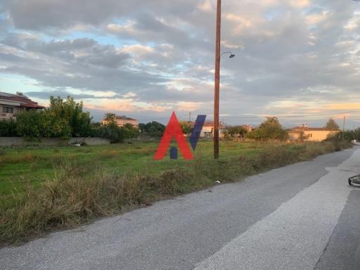 ALK00933