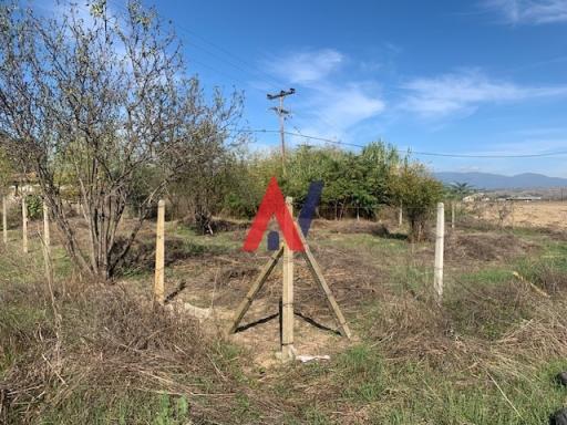 ALK00850