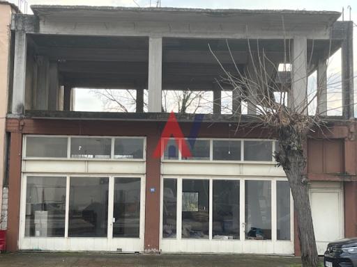 ALK00538