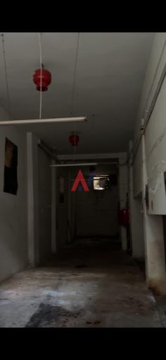 THA03310