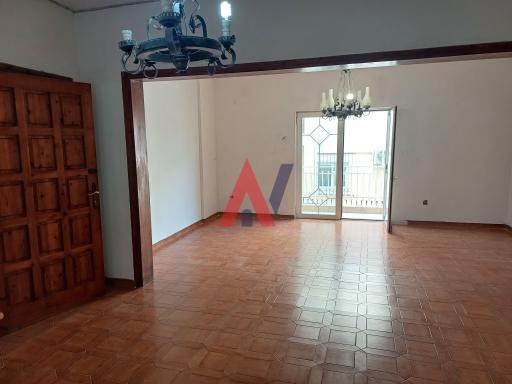 XNT03367