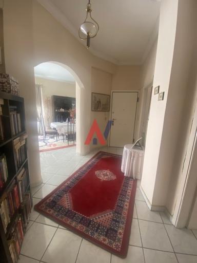 ALY03552