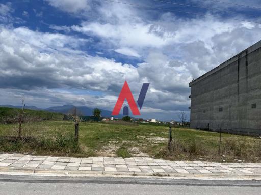 ALK01228