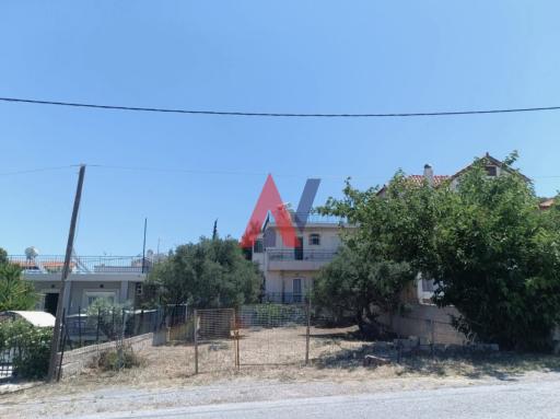 ΜΟΚ03955