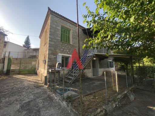 ZAG03953