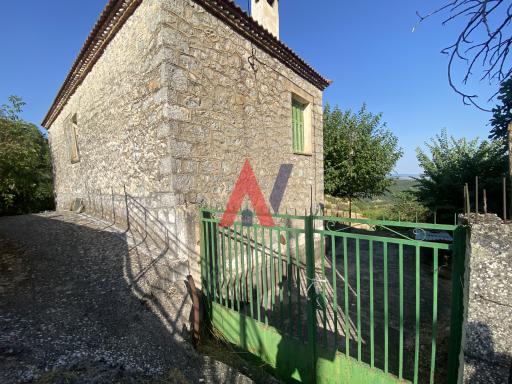 ZAG03953
