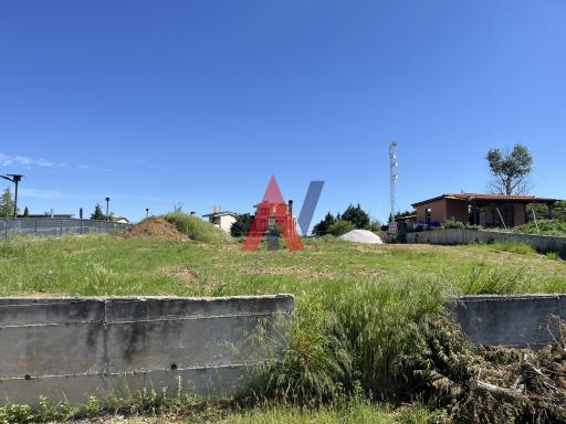 PAS03989