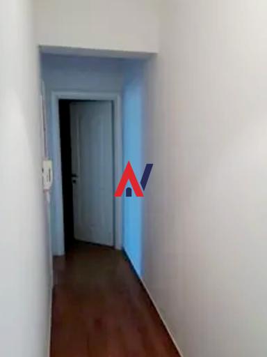 PEG04433