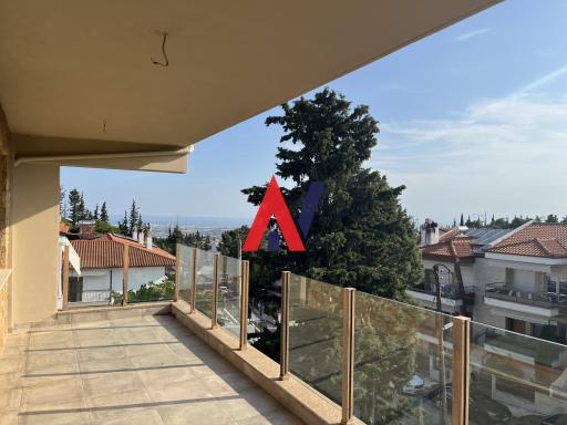 PAS04537