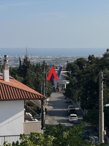 PAS04537