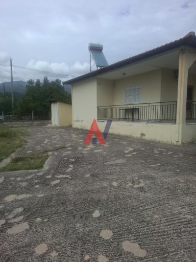 MEL04751